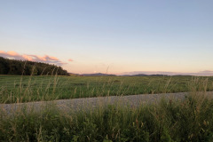 IMG_0037