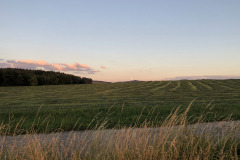 IMG_0040